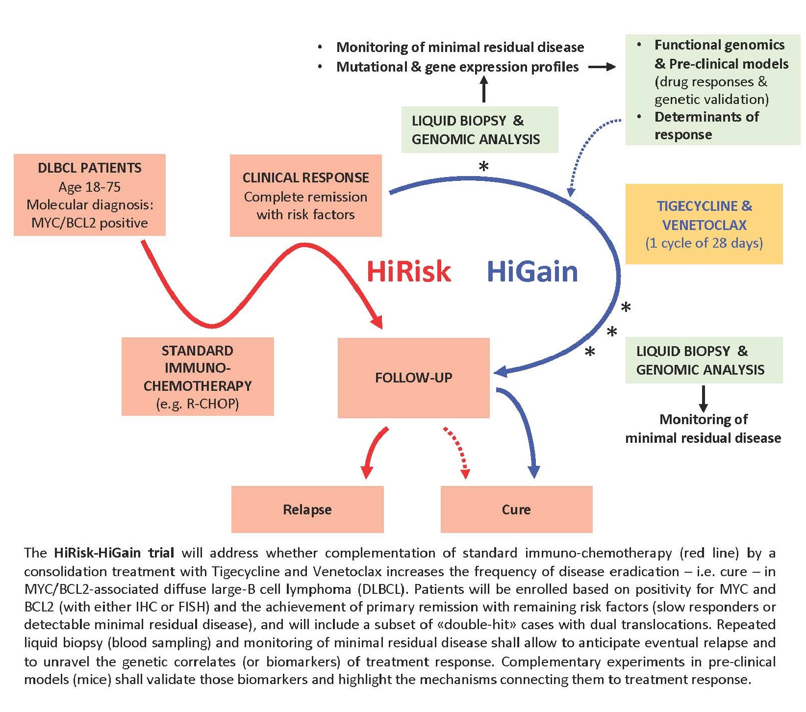 hirisk-higain_figure_for_lay_abstract_1